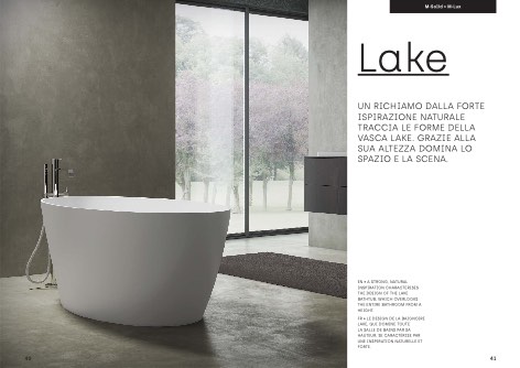Disenia - Katalog Lake