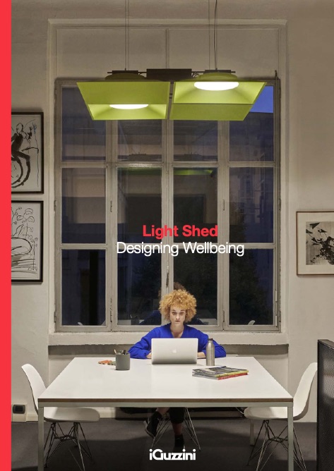 iGuzzini - Catalogo Light Shed