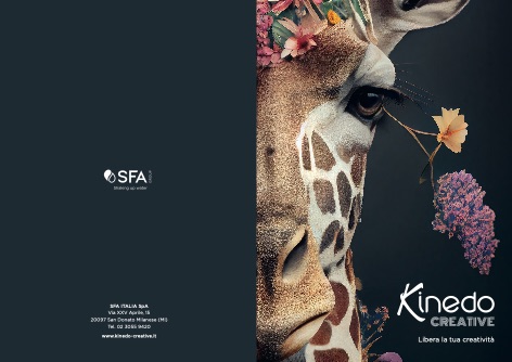 Kinedo - Catalogue Creative